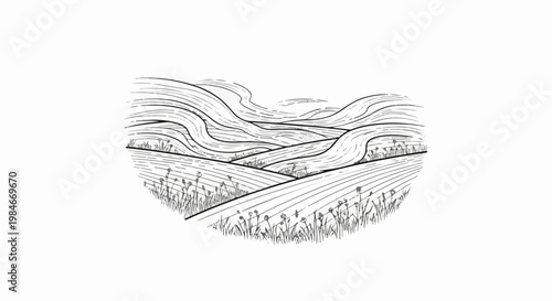 Stylized sketch of rolling hills with contoured lines and sparse wildflowers