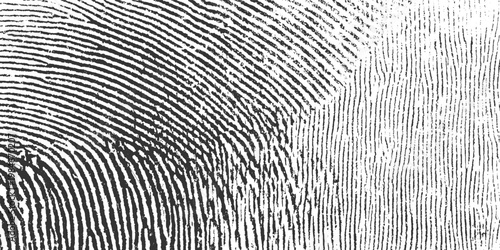 Close up black and white macro view of fingerprint ridges and patterns