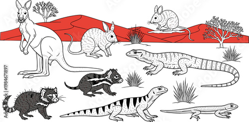 Australian Desert Animals featuring Kangaroo, Rabbit, and Lizard in a Red Desert Landscape