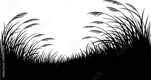 Black silhouette of tall grass and reeds swaying in the wind against a white background