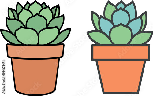 Close-up Illustration of Two Hand-Drawn Green Succulent Plants in Terracotta Clay Pots with Simple Black Outlines and Flat Colors