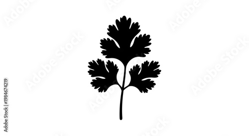 Black Silhouette of a Cilantro Leaf: Food, Ingredient, Herb, Plant, Flavor, Organic, Fresh, Green, Culinary, Isolated