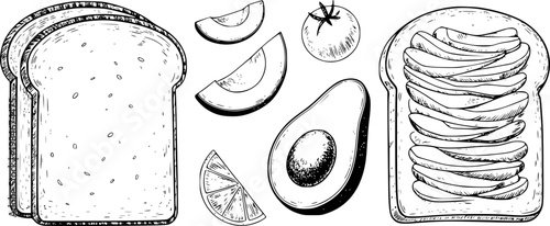 Hand-drawn of avocado toast with bread slices, avocado halves, and tomato food healthy