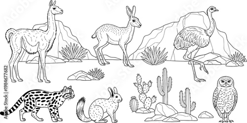 Desert Animal Illustration Set – Llama, Gazelle, Ostrich, Cactus, and Desert Wildlife in the Wild