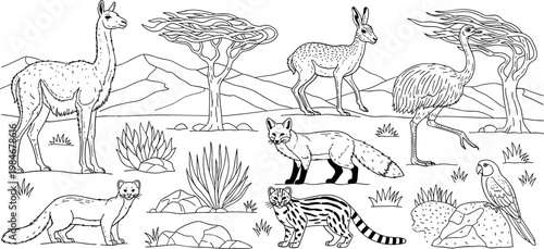 Desert Landscape Animal Set – Llama, Gazelle, Ostrich, Fox, Parrot, and More in the Wild