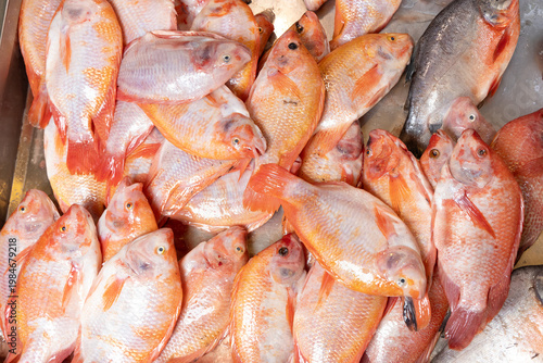 Red tilapia or red mojarra (Oreochromis) Fresh fish piled up in the market square