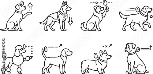 Medical and Vision Tracking Dog Exercise Icons