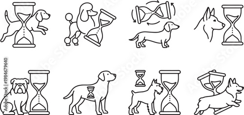 Diverse dog breeds standing and jumping with vintage hourglass timers