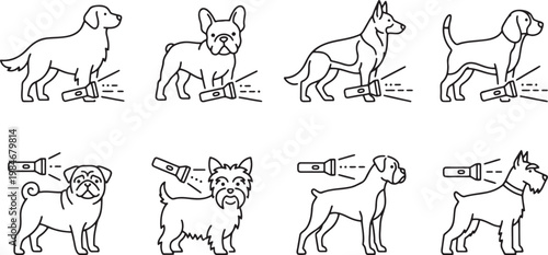 Various dog breeds holding flashlights for searching and night illumination
