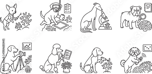 Smart dogs working as marine biologists and scientists underwater