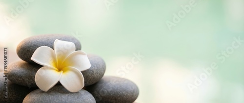 Creating tranquility zen stones and frangipani flower serenity spa still life photography calm environment close-up view mindfulness concept for wellness