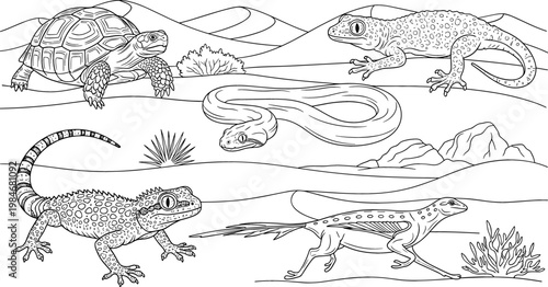 Desert Reptiles and Turtles Vector Set Featuring Snakes, Lizards, and Tortoises