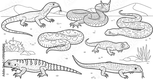 Desert Reptiles Set with Snakes, Lizards, and Salamanders in a Dry, Rocky Landscape