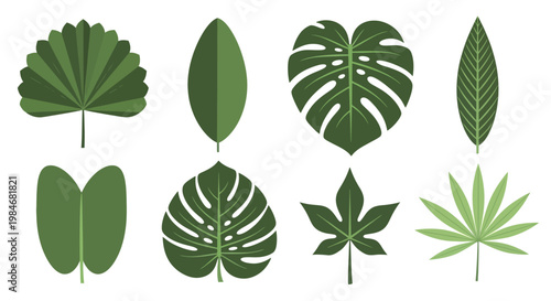 Collection of Various Green Leaf Silhouettes on a White Background, Tropical Plant Leaves Icon Set