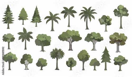 Hand drawn tree illustration collection with forest and tropical trees organic vector set
