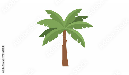 Isolated palm tree flat vector illustration tropical beach vacation and tourism concept