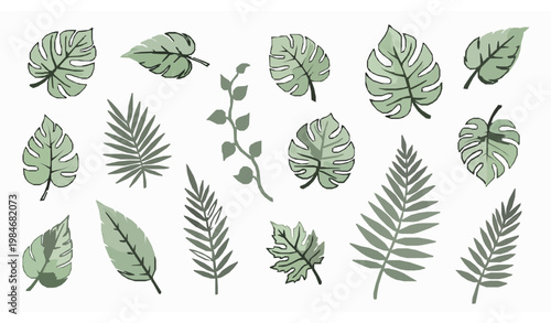 Hand drawn leaf icon collection with ecological and nature themed botanical elements vector set