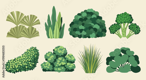 Assortment of vibrant green garden plants and decorative foliage elements for landscape design, featuring a variety of bushes, shrubs, and natural vegetation illustrations