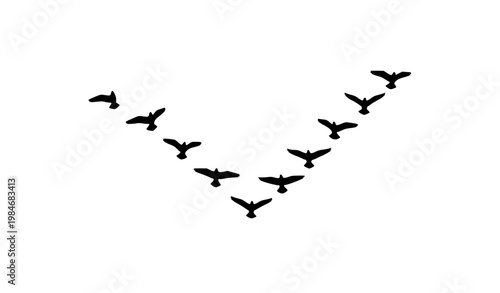 Birds flying in V formation silhouette vector illustration minimal wildlife migration concept