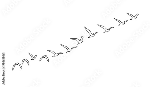 Minimal line art birds flying in V formation with dynamic diagonal composition vector illustration