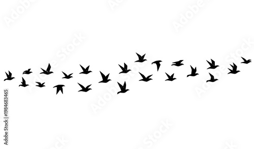 Geometric birds in V formation flying flock vector illustration modern abstract wildlife design