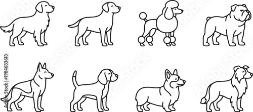 Set of various dog breed profiles in minimal line art style