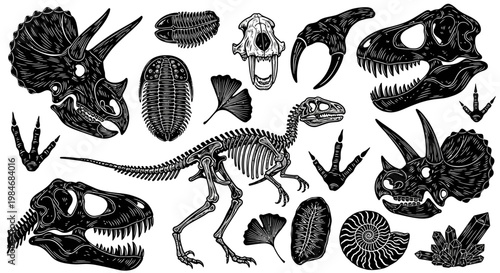 Engraved collection of ancient dinosaur fossils, detailed prehistoric creature skeletons, and primitive plant remnants, ideal for scientific and historical themed designs