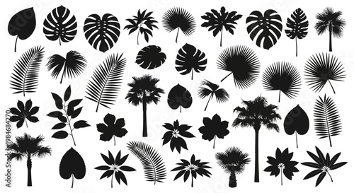 Explore a rich assortment of black vector silhouettes featuring various tropical leaves and palm trees, ideal for creating stunning botanical patterns and exotic design elements