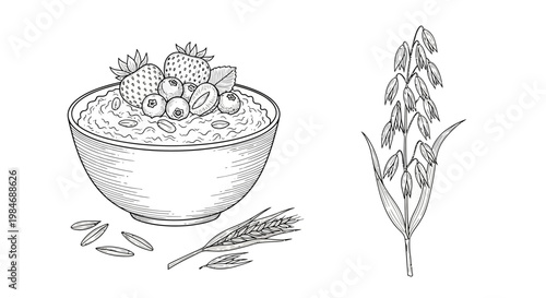 Oatmeal Bowl with Berries and Oat Stalks Illustration