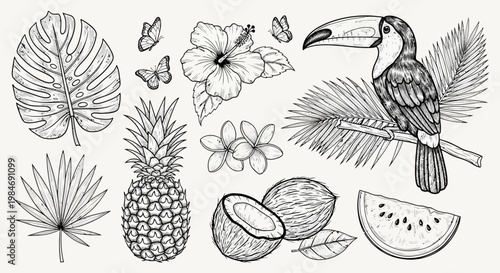 Tropical Exotic Elements: Toucan, Pineapple, Coconut, Hibiscus, Palm Leaves, Butterflies