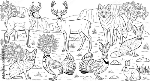 North American Desert Wildlife Scene with Deer, Coyote, Fox, Jackrabbit, and Quail in Black and White Line Art