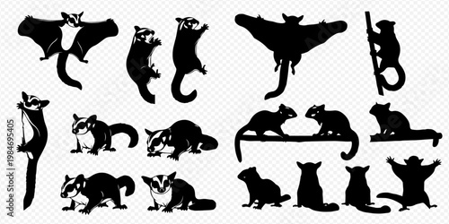 Collection of various sugar glider silhouettes in different poses, showcasing their agility and unique characteristics as marsupials.