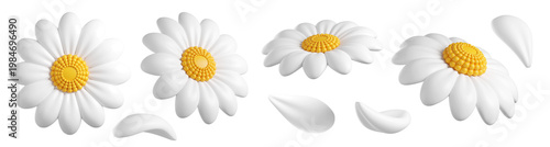 Set of cute 3d Daisy Flower. Floating Cartoon chamomile bloom with white petals for spring, kids, summer design. 3d render 
