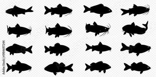 Set of various fish silhouettes, including catfish and carp, in black on a transparent background, ideal for fishing and aquatic themes.