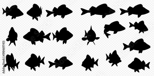 Set of various fish silhouettes in different poses and angles, isolated on a transparent background, perfect for graphic design and aquatic themes.
