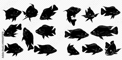Collection of various fish silhouettes, including different species and swimming positions, isolated on a transparent background.