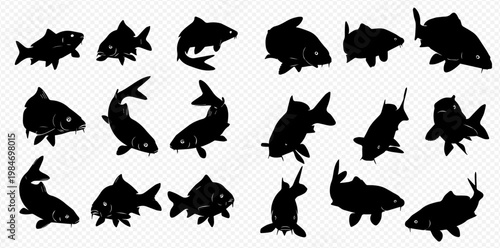 Collection of various fish silhouettes, including carp, in different swimming poses, isolated on a transparent background.