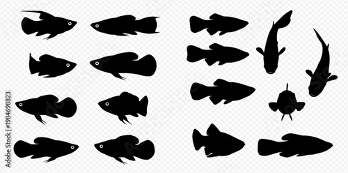 Set of various fish silhouettes, including guppy, molly, and platy, isolated on a transparent background, showcasing different angles and species for aquatic designs.