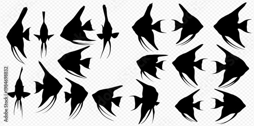 Set of black angelfish silhouettes on a transparent background, showcasing various angles and sizes of this popular aquarium fish.