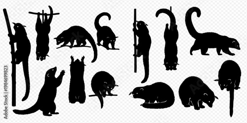 Set of black silhouettes of lemurs in various poses, including climbing, hanging, and standing, isolated on a transparent background.