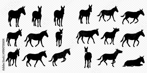Set of various horse and donkey silhouettes in different poses, isolated on a transparent background.