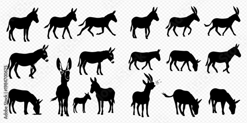 Set of donkey silhouettes in various poses including walking, standing, and eating, isolated on a white background, perfect for farm animal illustrations and graphic design.