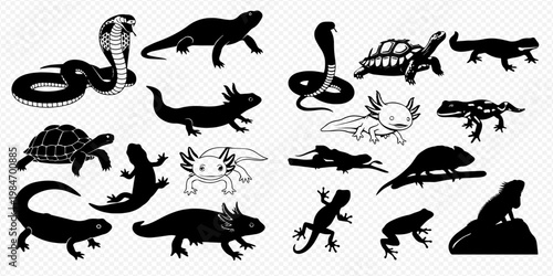 Collection of various reptile and amphibian silhouettes including snakes, lizards, turtles, and frogs.