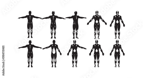 Collection of ten stylized black human body figures with arms spread, showing skeletal or muscular system outlines.