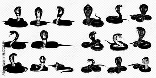 Set of Black Cobra Snake Silhouettes in Various Poses on Transparent Background.