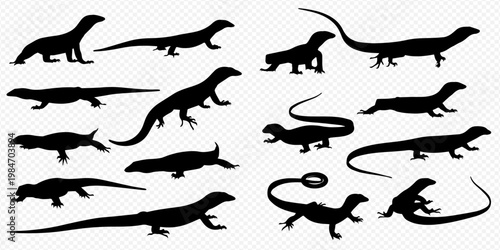 Collection of various lizard and reptile silhouettes in different poses, showcasing diverse species and their forms.