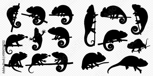 Collection of chameleon silhouettes in various poses on branches, showcasing different reptile shapes and actions.