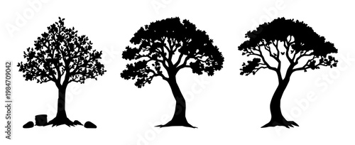 Money tree icon set with solid black icon on white background featuring passive income, finance, investment with icons and graphics
