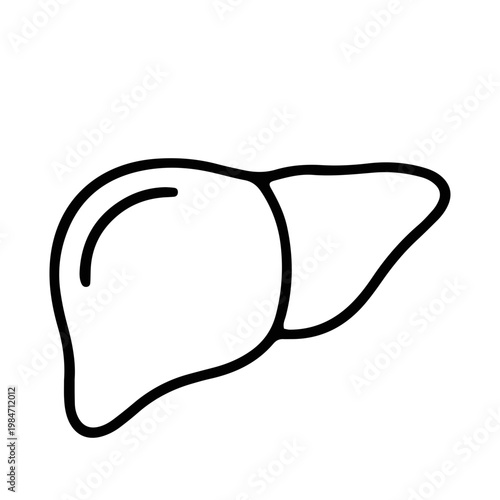 Human Liver Organ Line Art Icon