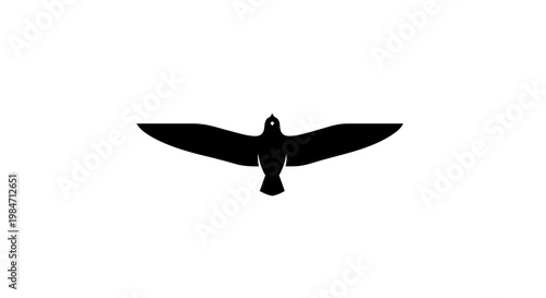 Silhouette of a bird in flight with wings spread wide against a white background.